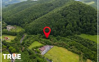 Teren intravilan 2.800 m² în Câmpu Cetății – liniște și natură - Poză 10