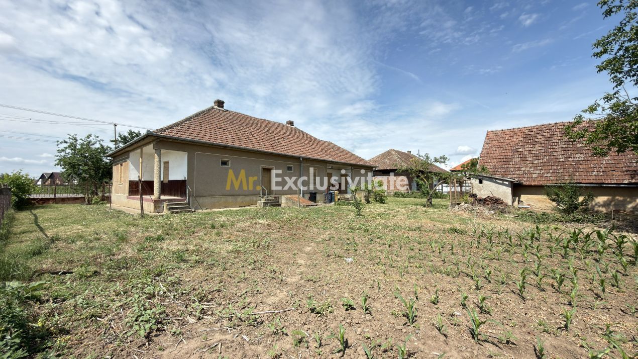 Casă 4 camere, Teren 1955 mp Str. Vezendiului Nr. 366 - Loc. Petrești, Satu Mare - Poză 12