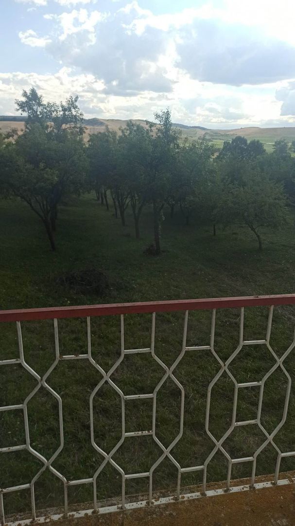 Tren si casa de vacanta in Panticeu - Poză 8