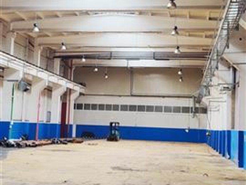 hale in parcul Roman sau tractorul - Poză 6