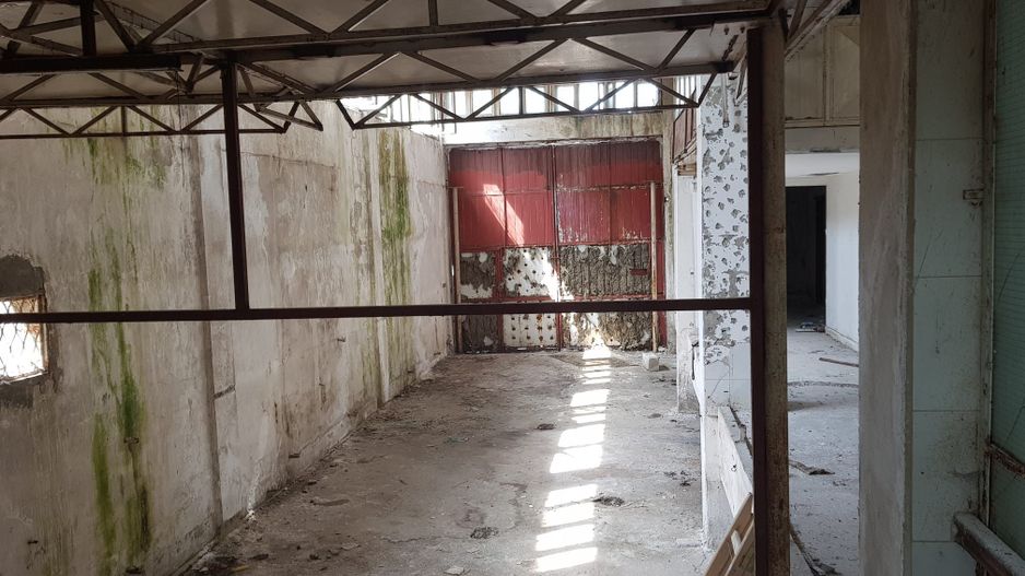 Teren - hala de vanzare | Damaroaia | Bucurestii Noi | Pajura - Poză 5