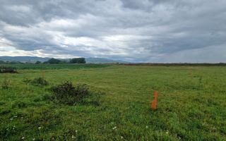 Teren intravilan de vanzare, Partos - Poză 4