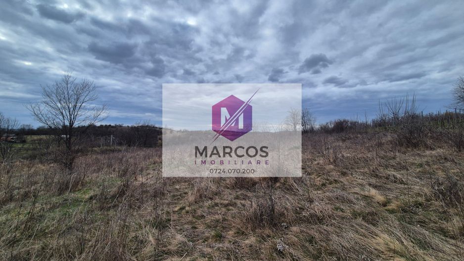 Vand 2 parcele de 5700 mp zona Iabalcea - Poză 8