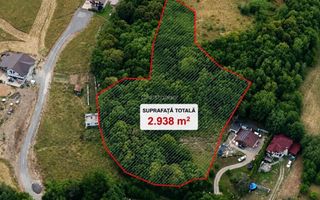 Teren intravilan 2.938 mp | Tocile, Sadu | pârâu natural - Poză 1