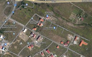 TEREN DUMBRAVITA 602 MP - Poză 2