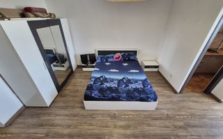 Garsonieră 30 mp de închiriat – Podu de Piatră – vedere monument istoric – aproape de Palas Campus - Poză 3