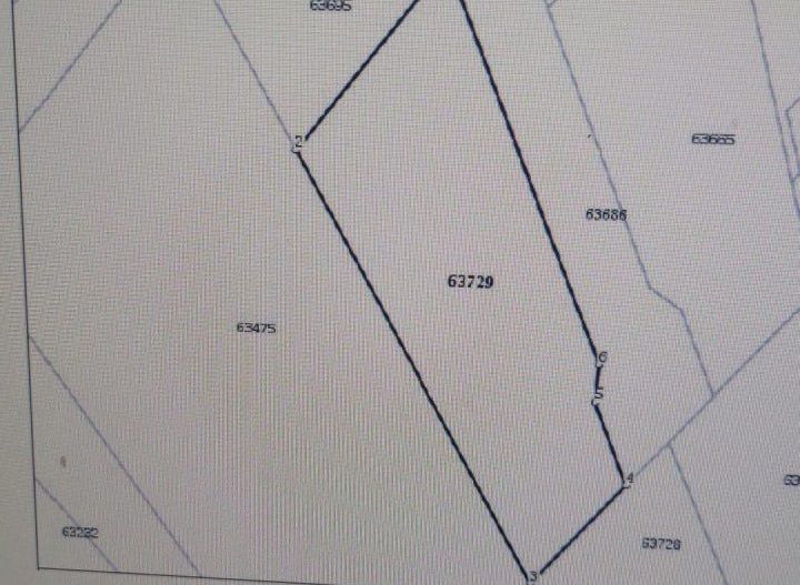 Teren Mogosoaia FRF - Poză 2