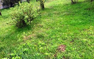 Teren constructie casă de vacantă !! - Poză 5