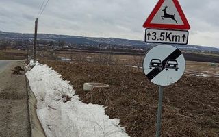 Vind teren intravilan +extravilan - Poză 4