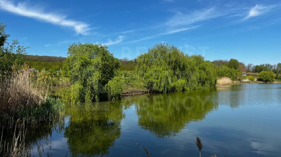 Vânzare, teren agricol, 90 ha, Orhei, satul Seliște - Poză 9