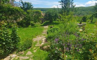 Casa Saseasca de vanzare  in  Somartin  / Comision O % - Poză 17