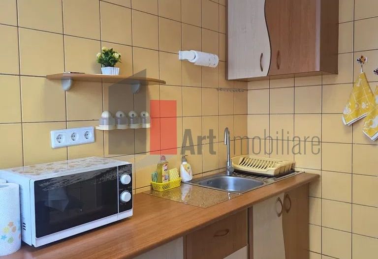 Inchiriere 2 Camere Dristor - Poză 7