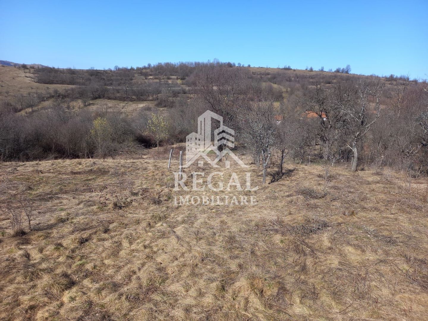 Două case de vânzare – Cerisor – teren generos 6996 mp - Poză 15