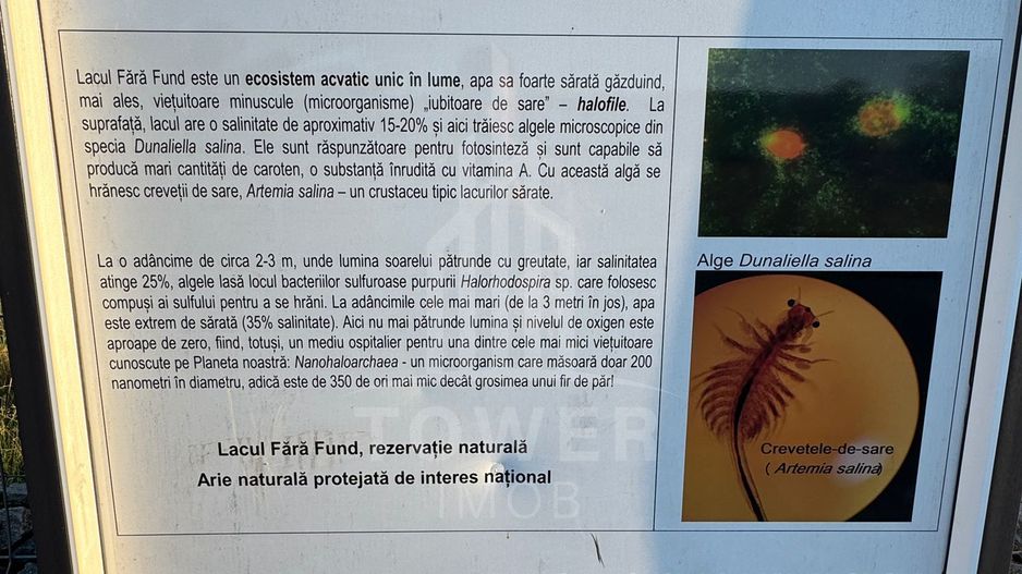 OPORTUNITATE la Ocna Sibiului - Teren Casă/Cabană lângă Lacul Fără Fund - Poză 6