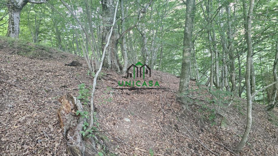 Teren extravilan  cu potential turistic - Brezoi - Poză 1