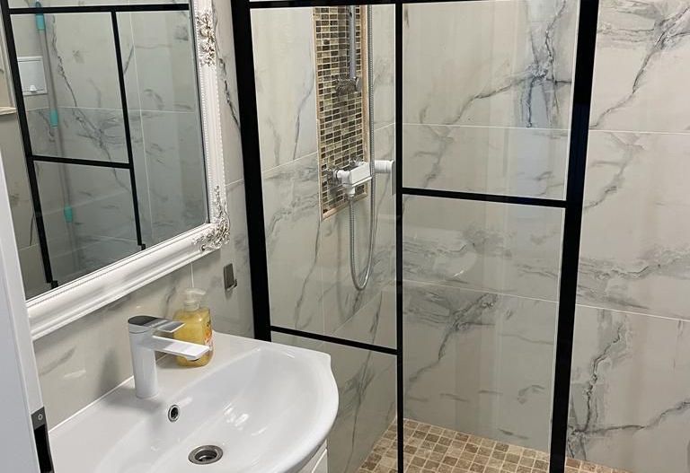 Apartament 1 camera  in Remetea  Mare - Poză 4