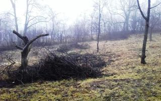 TEREN INTRAVILAN 3270 MP, CAMPULUNG - Poză 3