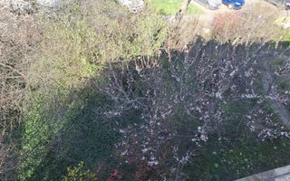 Ap 2 camere, transformat in 3, et 1, cu gradina, Sagului - Poză 16