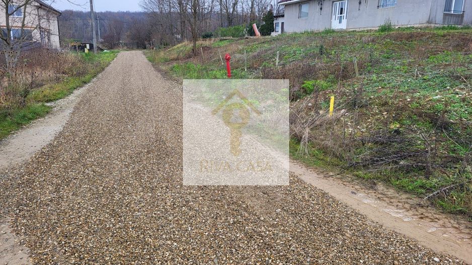 Teren extravilan Paleu - Poză 4