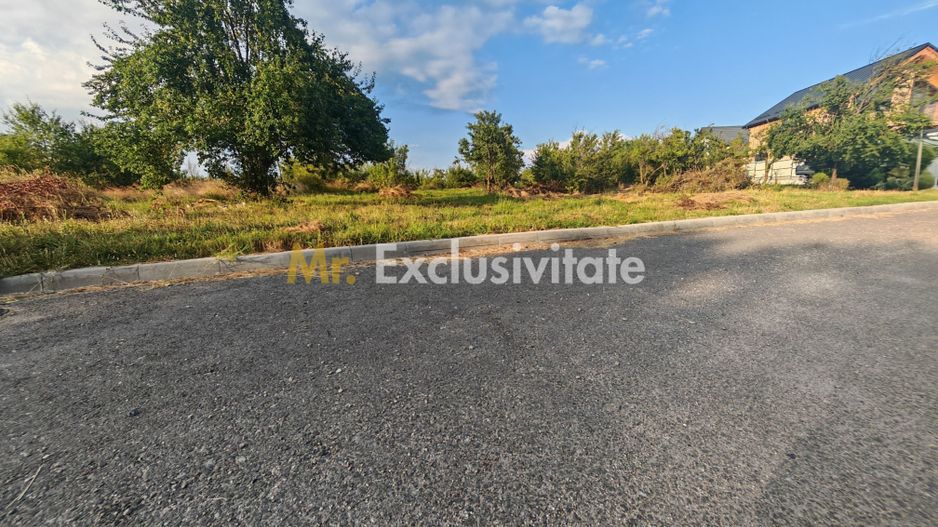 Teren intravilan 1.600 mp Mioveni – Zona Pruni - Poză 1