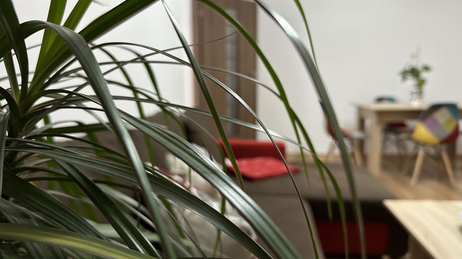 Oferta inchiriata - Apartament 3 camere - de inchiriat - Dacia - Poză 12