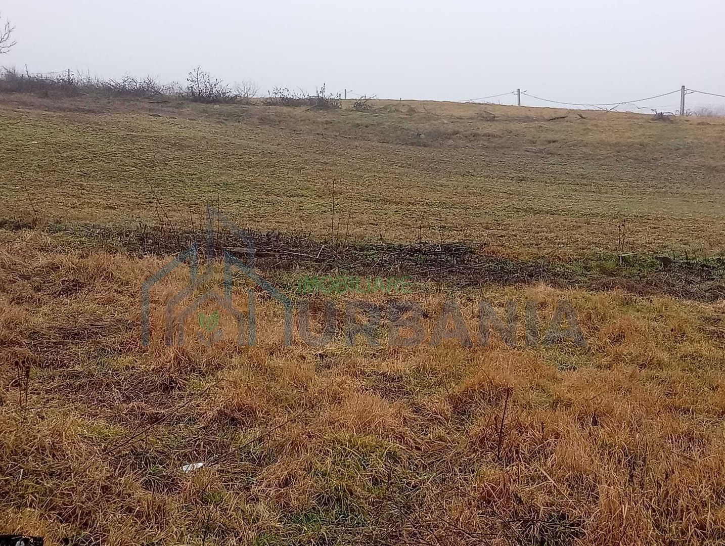 # - teren intravilan 820mp Proselnici - Poză 3