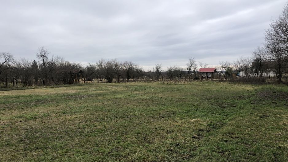 Teren Dragșina -550 mp - Poză 3