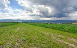 Teren extravilan I 736 mp I Zona Cabane- Cristian - Poză 4