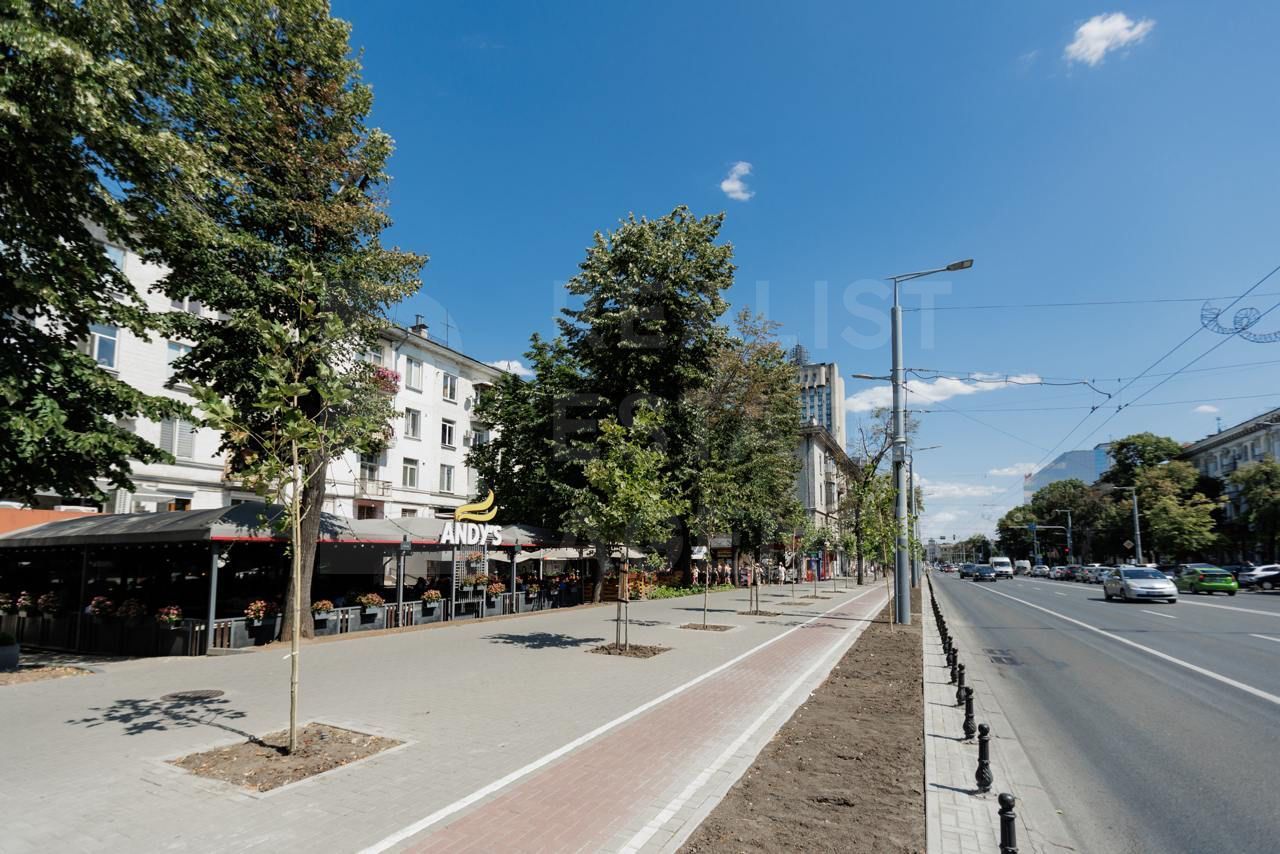 Vânzare, oficiu, bd. Ștefan cel Mare și Sfânt, Centru - Poză 1