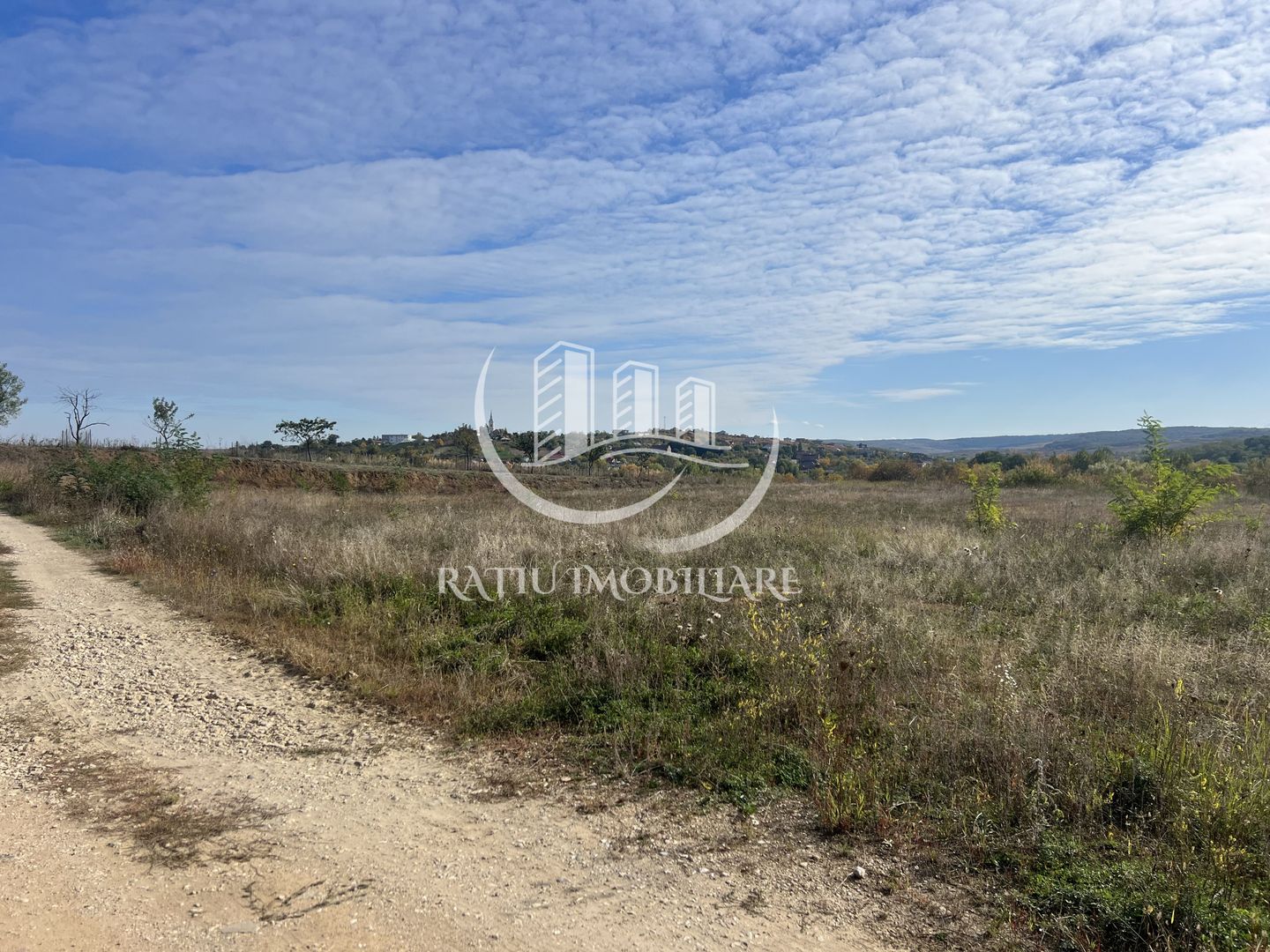 Teren intravilan 3961 MP | Paleu | Bihor - Poză 6