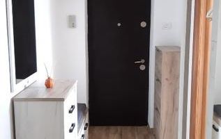 Vanzare Apartament 3 Camere Stradal Fantani Piata Unirii - Poză 6