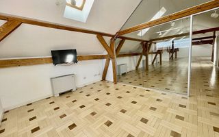 Mansardă cochetă în Piața Unirii - Poză 9