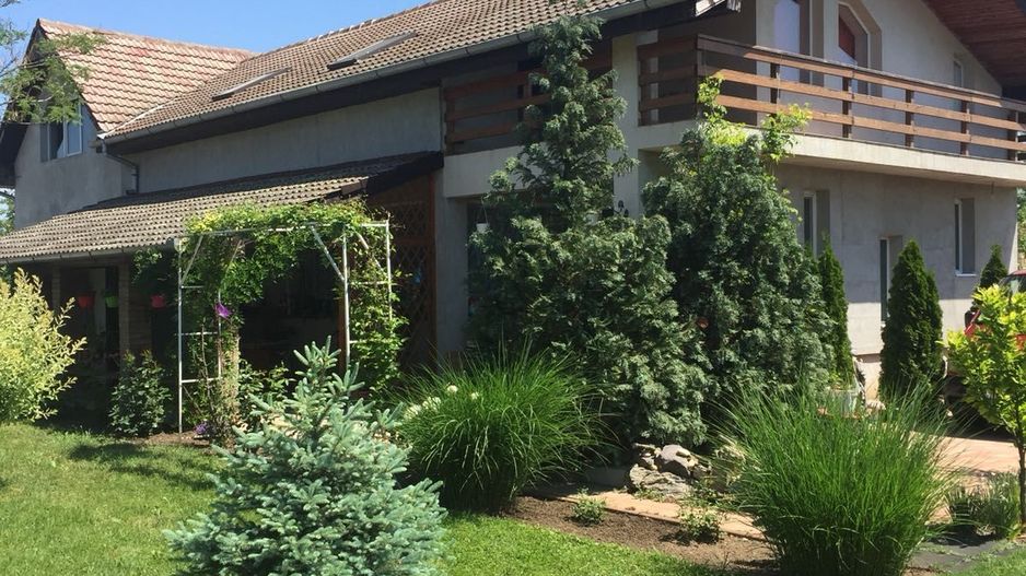 Proprietate cu potențial rezidențial și comercial | Comuna Pesac - Poză 10