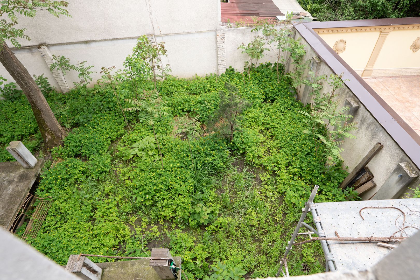 De vanzare Cladire bloc Istoric Central Arad D+P+E+M curte proprie - Poză 27