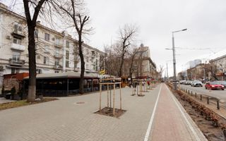 Vânzare, oficiu, bd. Ștefan cel Mare și Sfânt, Centru - Poză 1