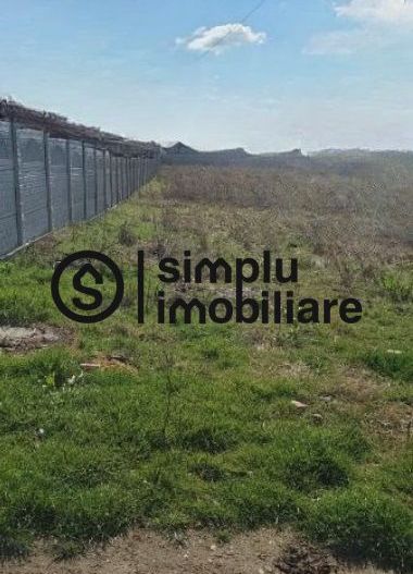 Teren intravillan, Preajba! - Poză 2