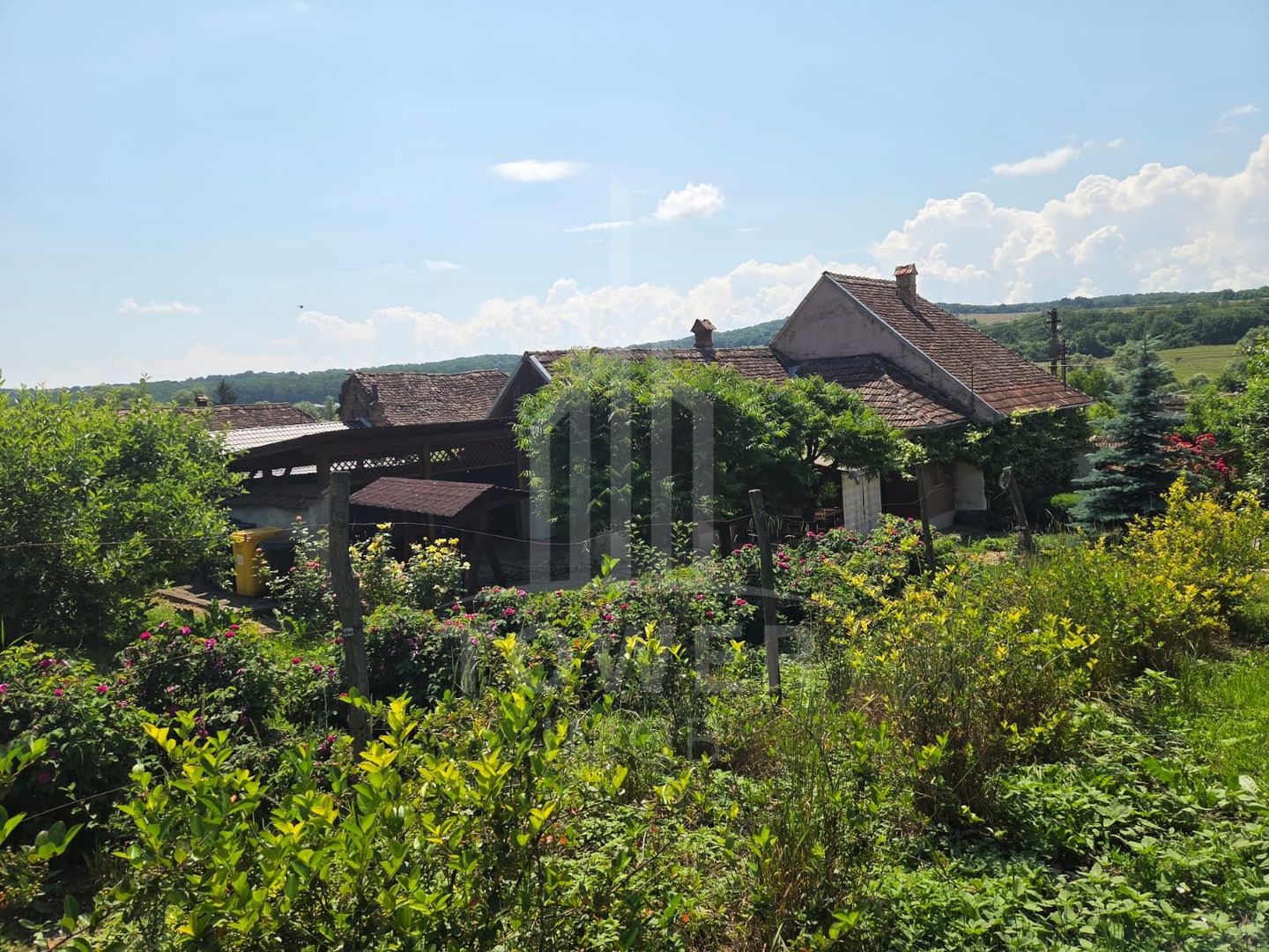 Casă săsească autentică în Bruiu (Sibiu) - Poză 21
