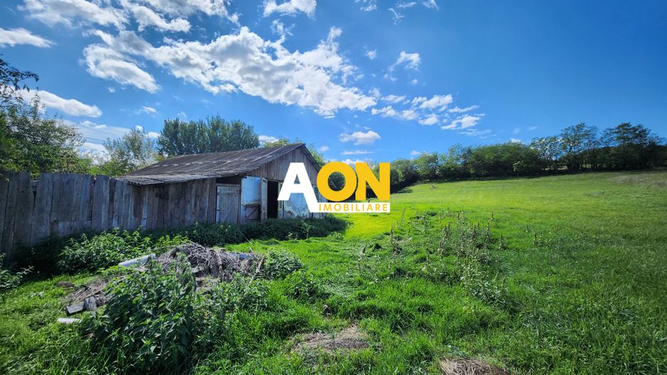 De vanzare 2965 mp teren intravilan, toate utilitatile, Oarda de Sus - Poză 8