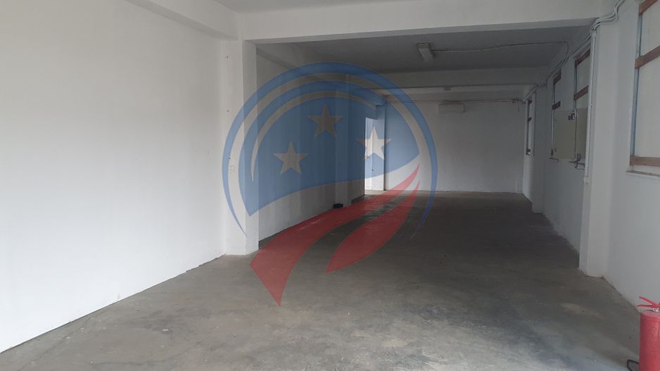 2 HALE de 357 mp si 474 mp  si teren intravilan de 5423 mp  Isalnita - Poză 9