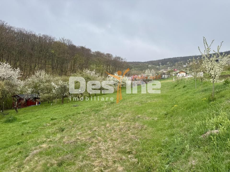 Teren intravilan Deva- Roci - Poză 1