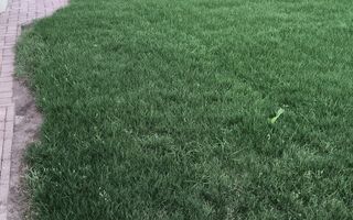 Casă parter cu grădină 500 mp, 6.5 kW fotovoltaice | Corușu - Poză 18