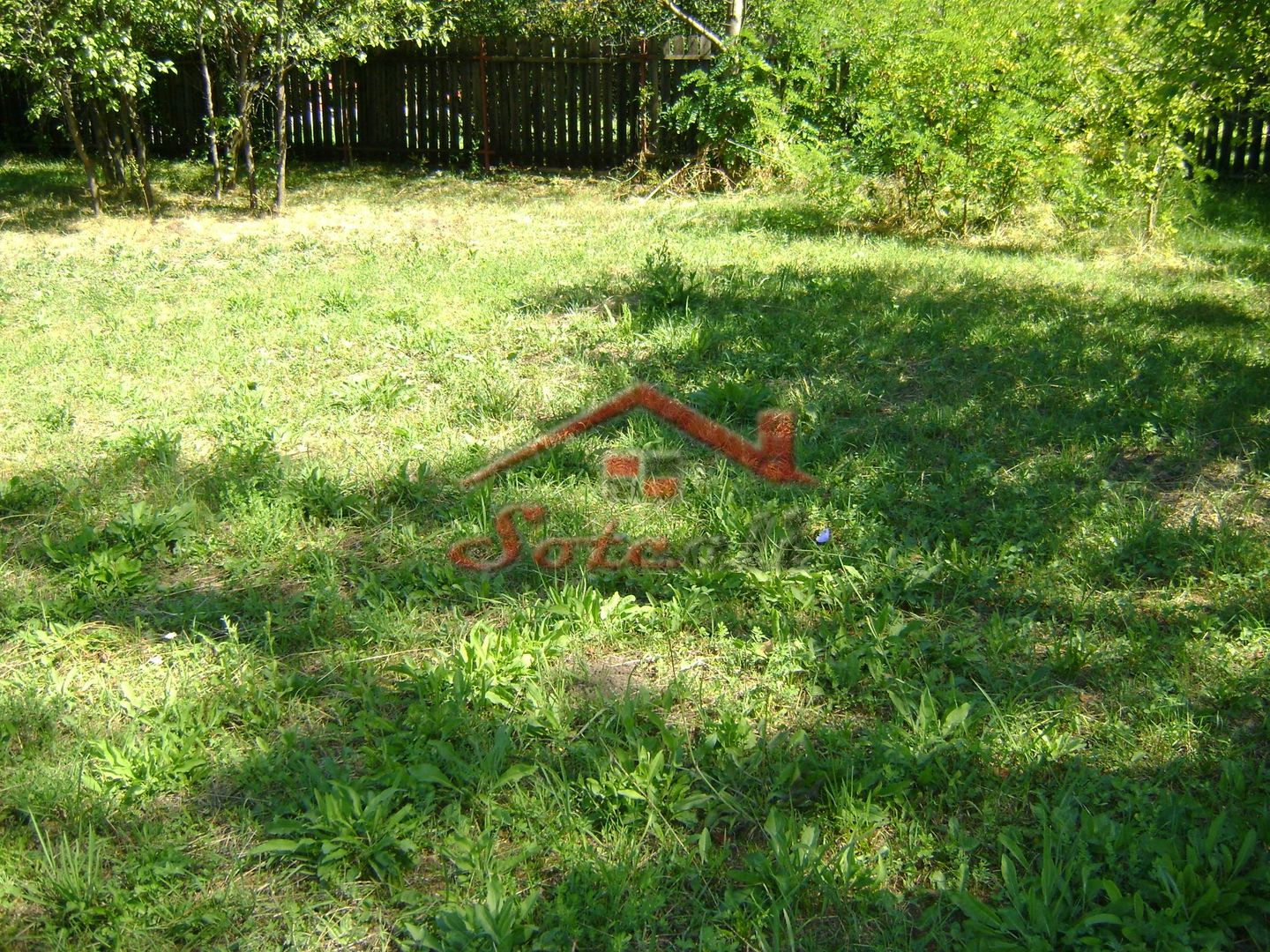 Teren  de vanzare Cornu 1919 mp - Poză 4