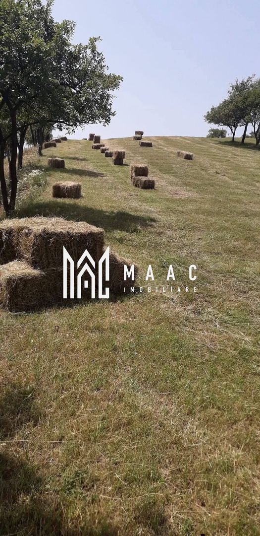 Proprietate cu 60000 mp pamant la pret de apartament - Poză 27