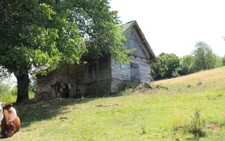 Poiana Sohodol I 5600 MP I Trei corpuri cladiri I Utilitati - Poză 54