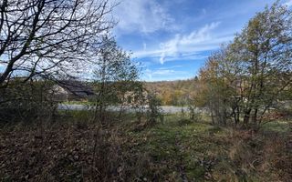 TEREN INTRAVILAN 13167 MP BUGHEA DE SUS ARGES - Poză 12