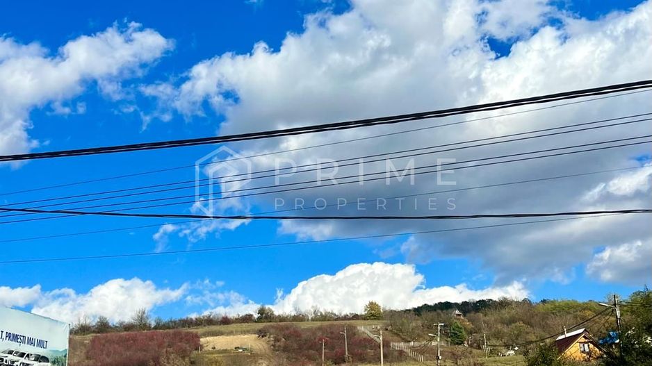 Teren cu potențial multiplu de dezvoltare – Corunca, E60, 10.000 mp - Poză 2