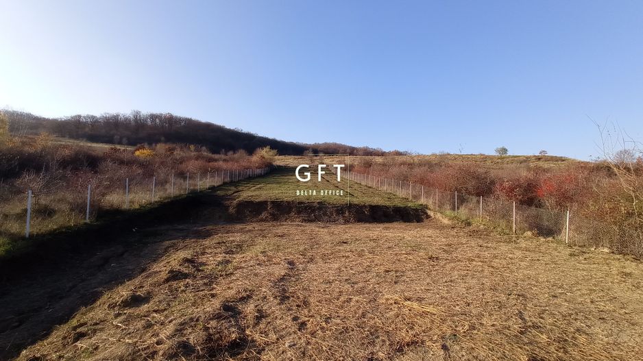 Teren Viisoara 27 ari - Poză 2