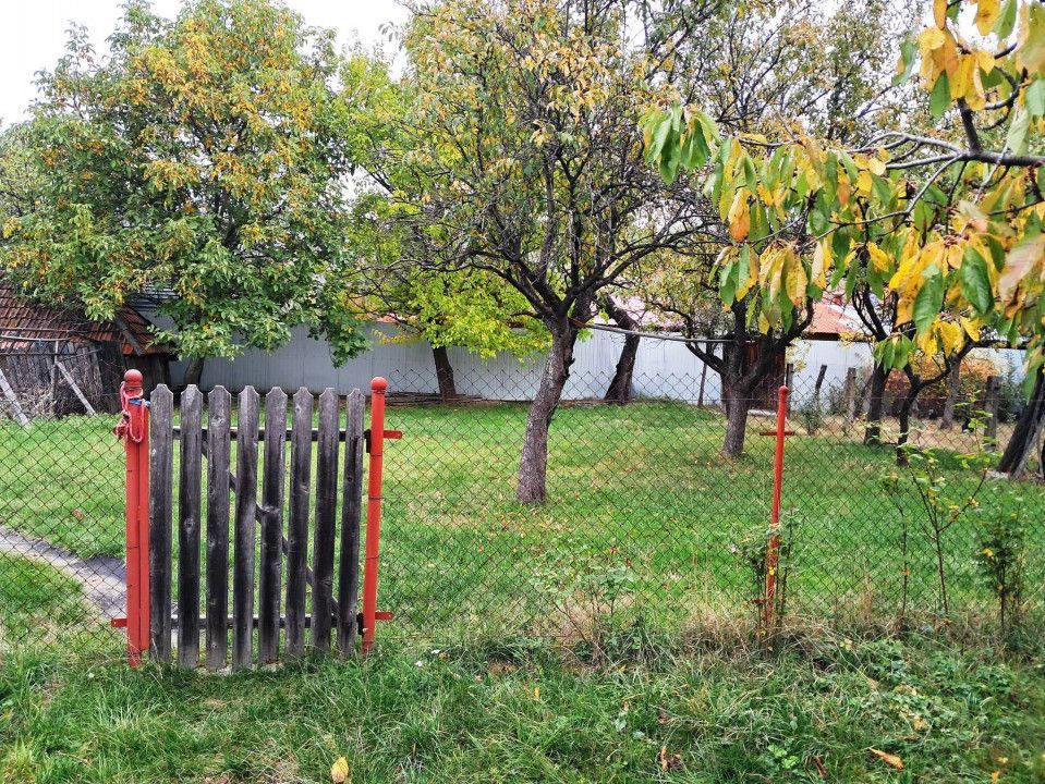 CASĂ SI TEREN BAIA DE FIER - Poză 6