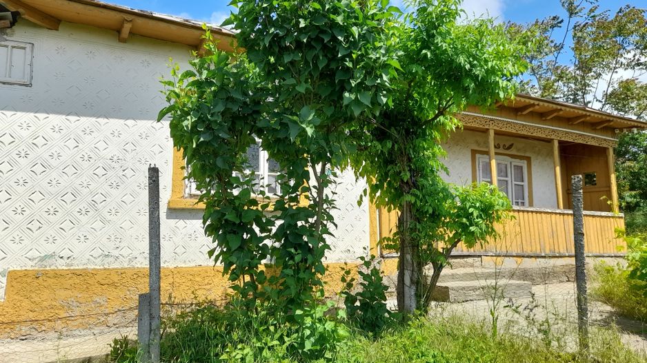 Casă cu teren de 1.470 mp de vânzare – Fântânele, Scânteiești - Poză 2