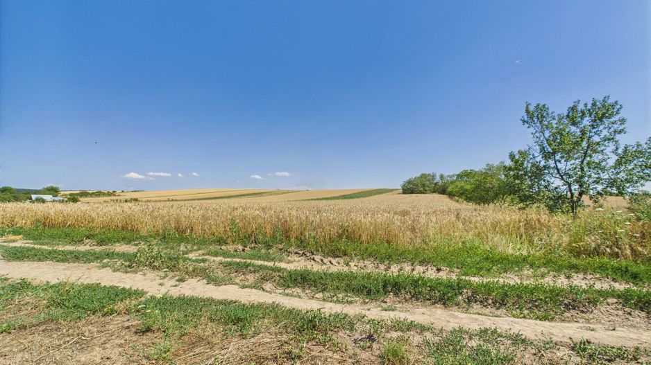 Teren intravilan + extravilan în Remetea Mică - Poză 6